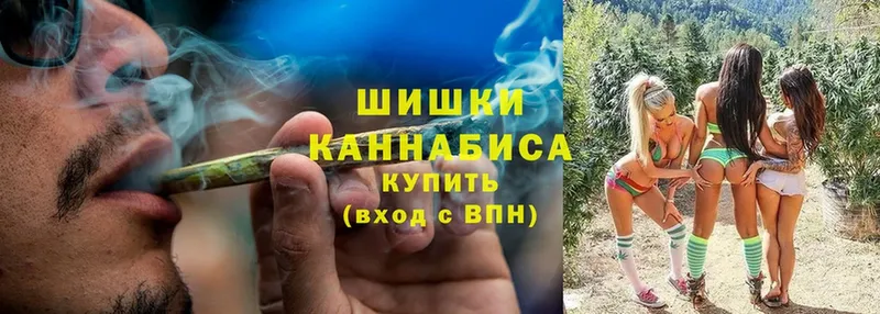 Конопля THC 21%  цена   Заринск 